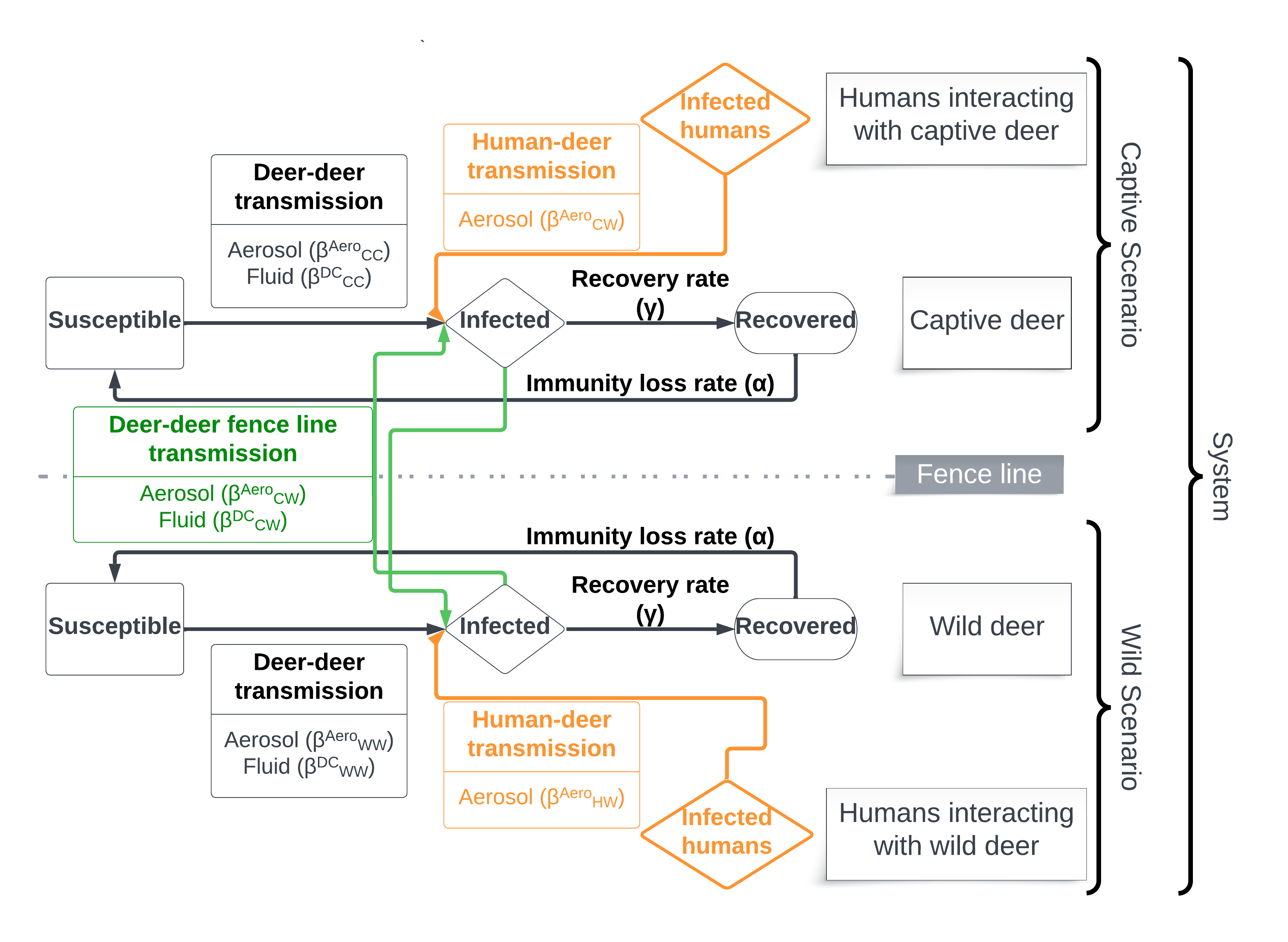 Figure 1: A conceptual illustration of the two seperate SIRS processes for wild and captive white-tailed deer, linked through fenceline interactions and exposed to infected humans.